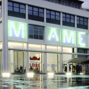 Head of MAME Community and Communication