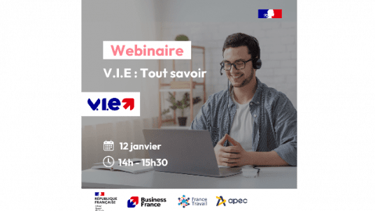 Tout savoir sur le V.I.E.